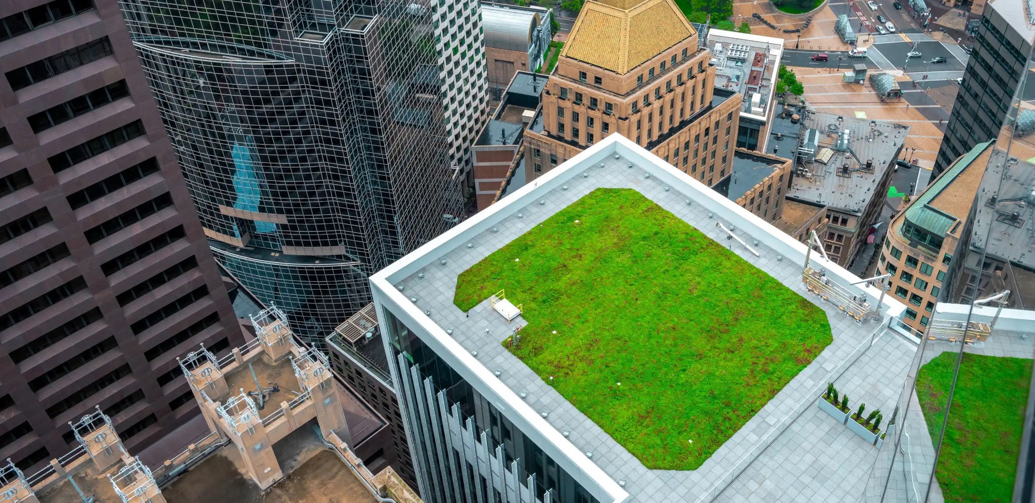 High-rise rooftop garden with green grass, surrounded by tall buildings